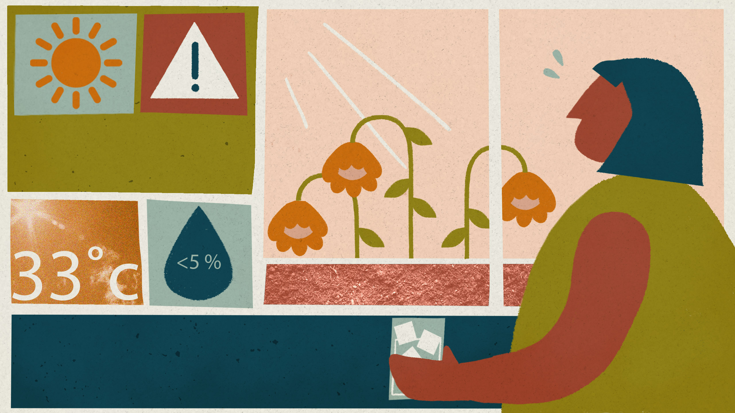 woman looking at weather forecast of hot and dry, and her garden is wilting