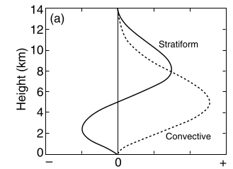Convective vs stratiform heating profiles